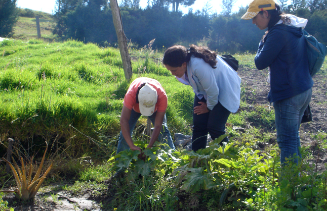 Producción del territorio y (nuevas) conflictividades