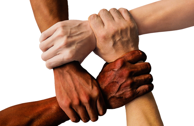 Participación política y social, democracia e instituciones para la paz