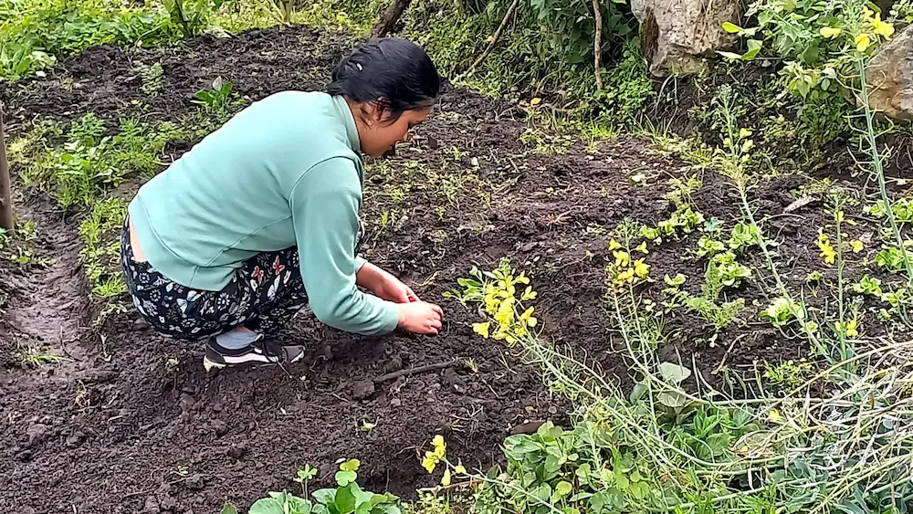 Solicitud de firma y remisión para sanción presidencial de la Ley Estatutaria de la Jurisdicción Agraria y Rural